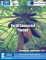 Icon of Perfil Papaya